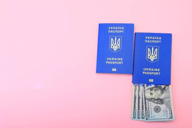 Ukrainian foreign biometric passport with dollar bills on a pink background. Passport of Ukraine, money, holidays and travel concept