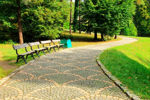 Beco de pedras cinzas com bancos de madeira no parque Sofievsky, Uman, Ucrânia. Belo paisagismo no parque, primavera, férias de verão . — Fotografia de Stock