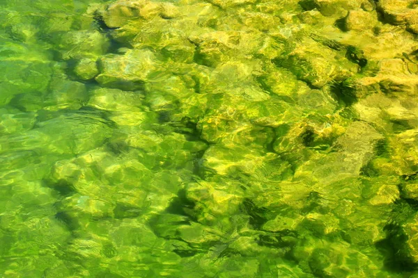 Gele Stenen Liggen Het Heldergroene Water Kroatische Bergrivier Krka Natuurlijke — Stockfoto