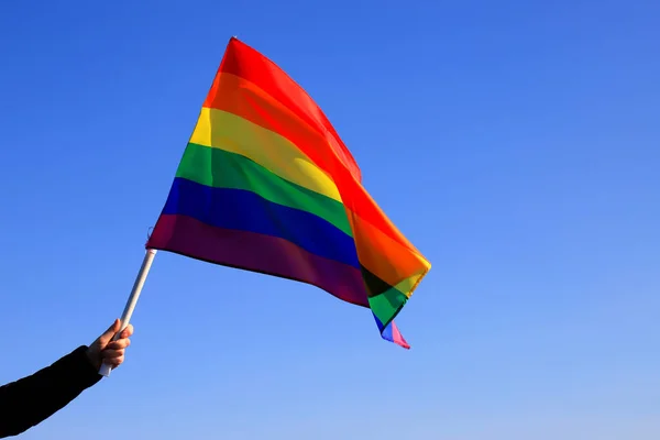 Bandera Del Orgullo Lgbt Incluye Lesbianas Gays Bisexuales Transgénero Rainbow — Foto de Stock