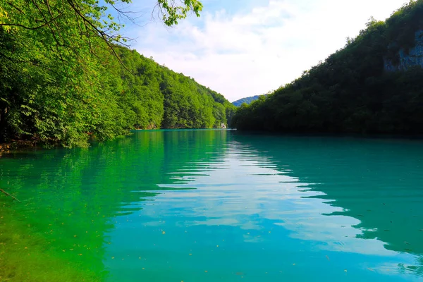 Schöner Malerischer Plitvicer See Kroatischen Nationalpark Sauberes Grünes Wasser Kleinen — Stockfoto