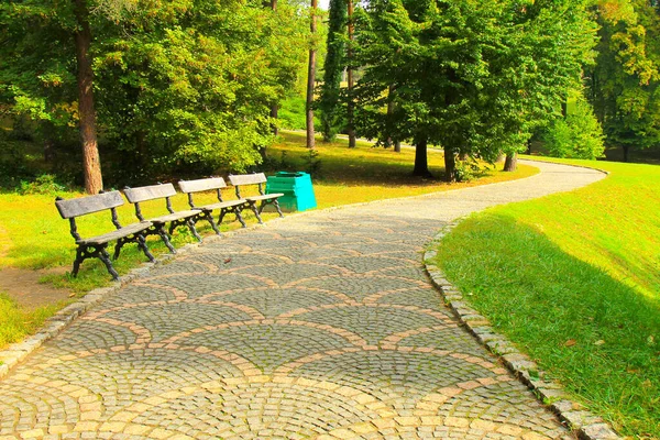 Parque Fundo Verão Passarela Pedra Bancos Madeira Árvores Decíduas Pitorescas — Fotografia de Stock