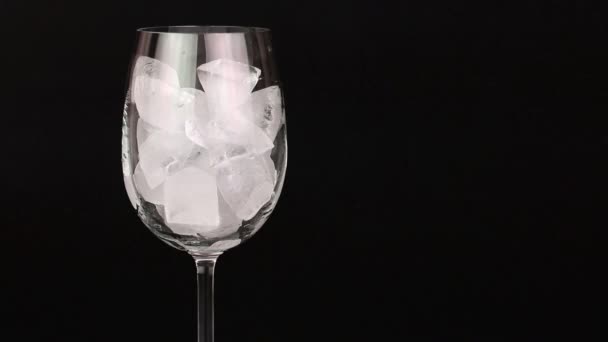 Barman, barman prépare un délicieux cocktail exotique avec de la glace et de la liqueur sucrée sur fond noir — Video