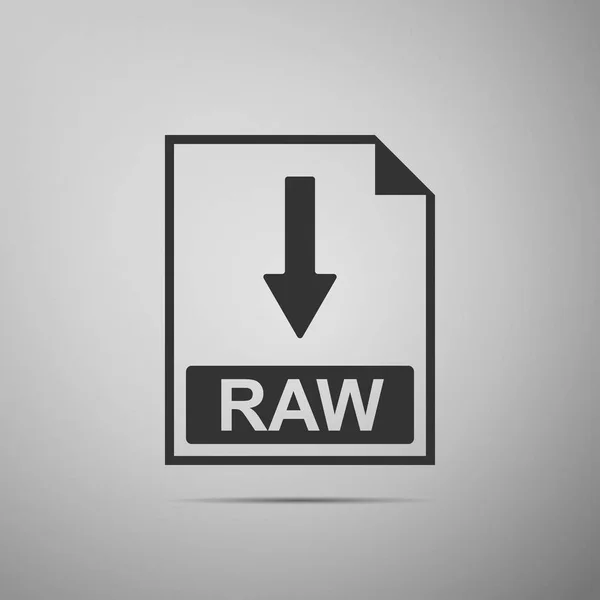 Fichier RAW icône du document. Télécharger icône bouton RAW isolé sur fond gris. Design plat. Illustration vectorielle — Image vectorielle