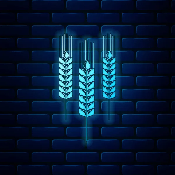用稻谷、小麦、玉米、燕麦、黑麦、大麦图标在砖墙背景上隔离而成的发亮的霓虹灯图标。 麦片面包的象征。 农业小麦的象征。 病媒图解 — 图库矢量图片