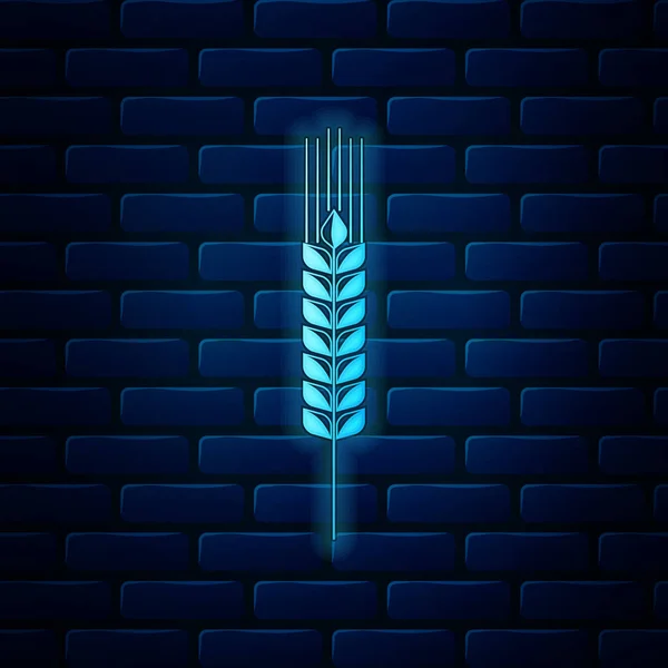 Lumineux néon Céréales icône sertie de riz, blé, maïs, avoine, seigle, orge icône isolée sur fond de mur de briques. Oreilles de pain de blé symboles. Symbole du blé agricole. Illustration vectorielle — Image vectorielle