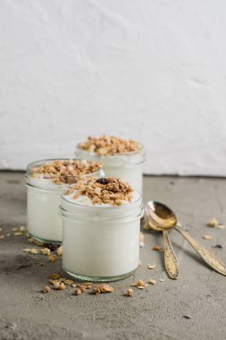 Yoğurt granola, yulaf yapılan ile kabarık kuru üzüm, pirinç, çikolata ve muz kurutulmuş. Aile için sağlıklı kahvaltı.