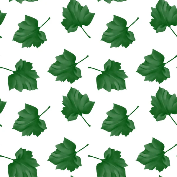 Klon zielony liście bezszwowy wzór na białym. Projekt tekstylny. — Zdjęcie stockowe