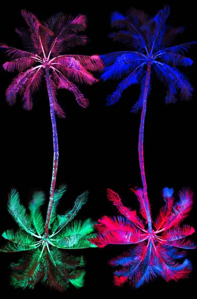 Palme multicolori al carnevale — Foto Stock