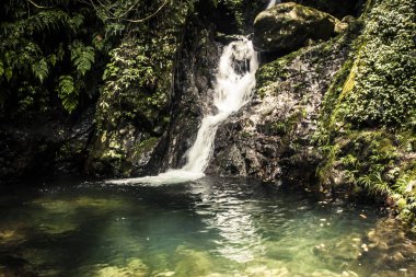 Zen şelale görünümü