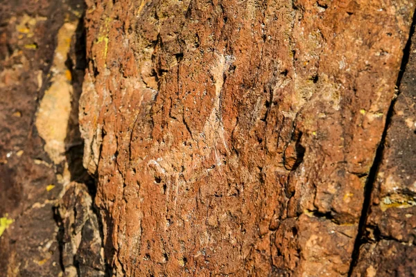 Rotstekeningen in steen — Stockfoto