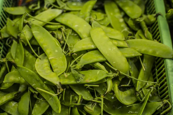 Snow Peas pile