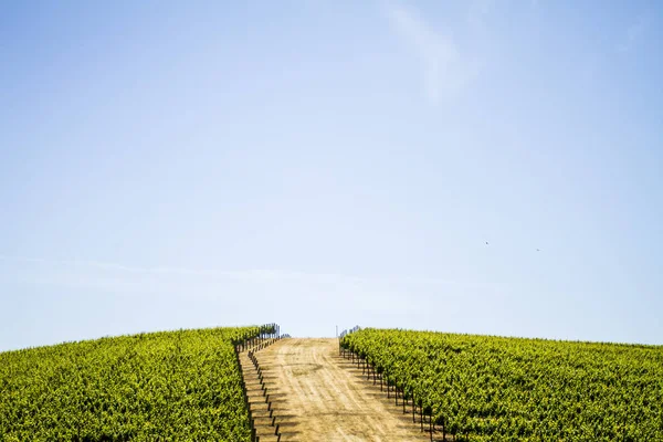 Napa Valley road — Stockfoto