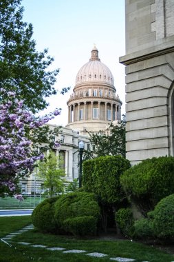 Boise State Capital