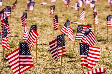 birçok Amerikan bayrakları