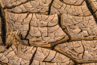 Kuraklık kırık kir