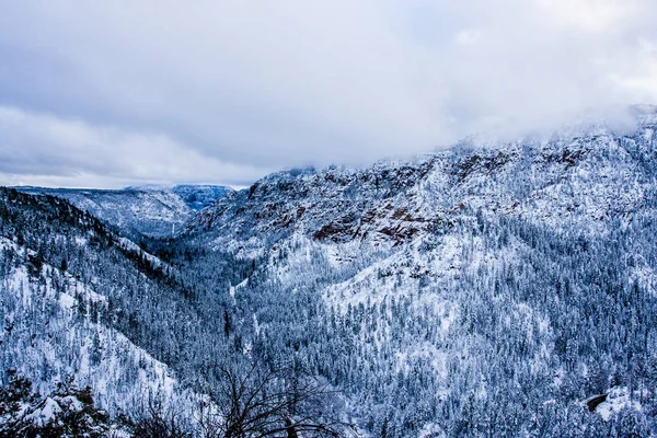 Paysage hivernal avec neige — Photo