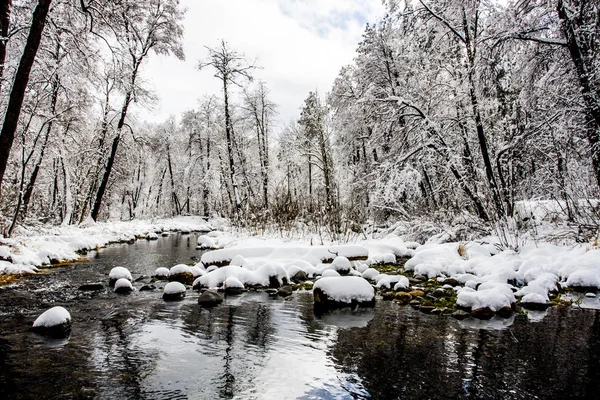 Vista del paisaje de invierno — Foto de Stock