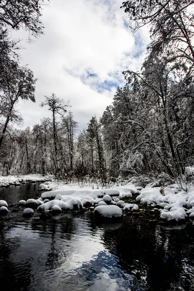 Vista del paisaje de invierno — Foto de Stock