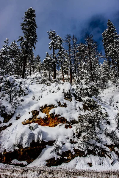 Vista del paisaje de invierno — Foto de Stock