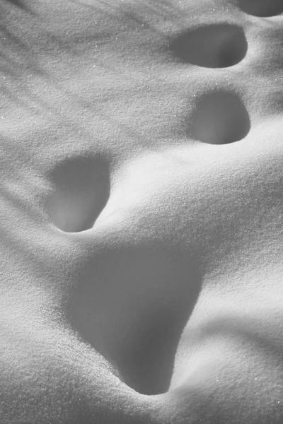 Свежий снежный пейзаж — стоковое фото
