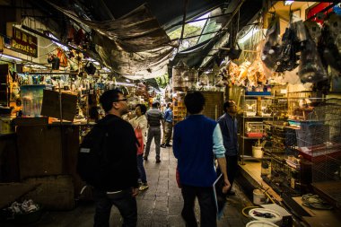 Po Yuen kuş Bahçe Hong Kong