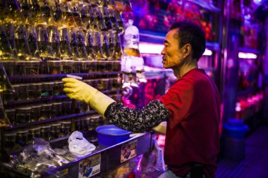 Hong Kong 'daki Japon balığı pazarı.