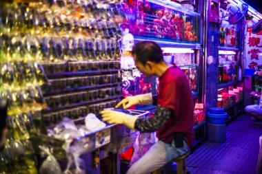 Hong Kong 'daki Japon balığı pazarı.