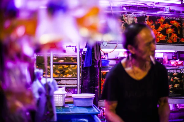 Goldfish market in Hong Kong — Stock Photo, Image