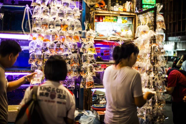 Trh se zlatými rybami v Hong Kongu — Stock fotografie