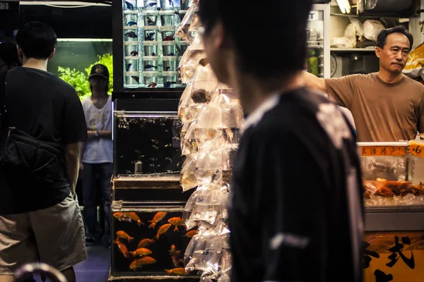 Mercado de Goldfish em Hong Kong — Fotografia de Stock