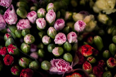 Canlı renkli florwers