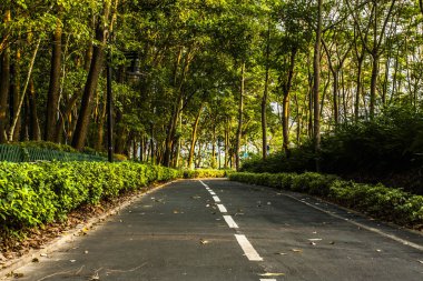 Boş Bisiklete binme yol