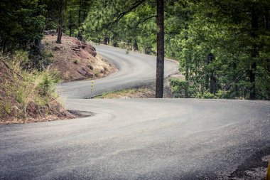 dolambaçlı bir dağ yolu