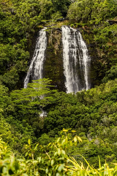 Hawaiian şelale peyzaj
