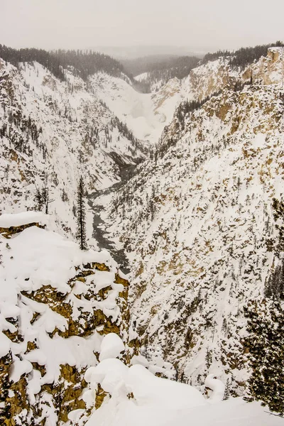 Yellowstone Canyon Schnee — Stockfoto