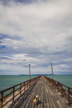 Denizin için ahşap iskele başlığı