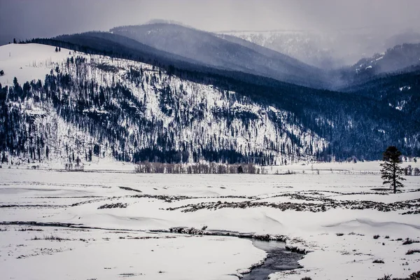 Замерзший пейзаж и река — стоковое фото