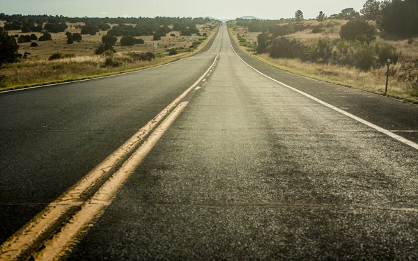 Road trip görünümü