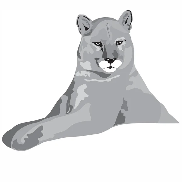 Vektör grafik resim dişi aslan, siyah-beyaz