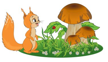 Vektör grafik resim neşeli sincap, mantar, çim