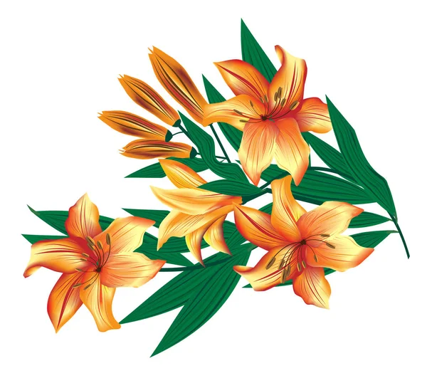 Vector Grafisk Bild Bukett Orange Liljor Blommor Vektorgrafik
