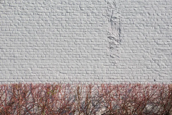 Белая стена с каменной кладкой и кустами — стоковое фото