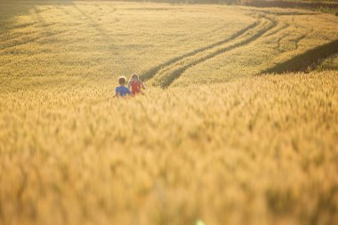 Gidin çocuklar, güzel doğa manzara doğa buğday alanı günbatımı, çalıştırın. Kırsal manzara parlak güneş ışığı altında.