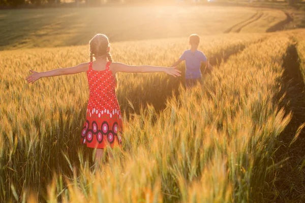 Children go, run along the wheat field, sunset, beautiful nature landscape of nature. Rural scenery under the shining sunlight. — Stock Photo, Image