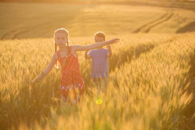Gidin çocuklar, güzel doğa manzara doğa buğday alanı günbatımı, çalıştırın. Kırsal manzara parlak güneş ışığı altında.