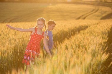 Gidin çocuklar, güzel doğa manzara doğa buğday alanı günbatımı, çalıştırın. Kırsal manzara parlak güneş ışığı altında.