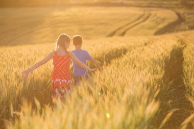 Gidin çocuklar, güzel doğa manzara doğa buğday alanı günbatımı, çalıştırın. Kırsal manzara parlak güneş ışığı altında.