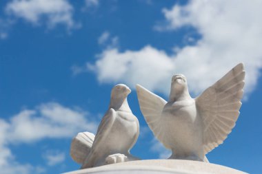 Mermer mavi gökyüzü bulutlu karşı iki beyaz güvercin