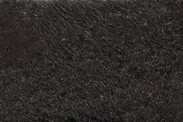 Natural fur texture background in hight resolution